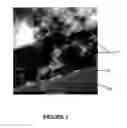 Fig. 02 - Water-based adhesive for lamination of polymers to metal substrates