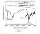 Fig. 06 - COATED CARBON NANOTUBES AND METHOD FOR THEIR PREPARATION