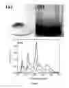 Fig. 09 - COATED CARBON NANOTUBES AND METHOD FOR THEIR PREPARATION