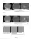 Fig. 10 - MULTIFUNCTIONAL COATINGS