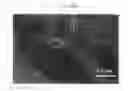 Fig. 06 - Negative active material for rechargeable lithium battery, method of preparing the same, and rechargeable lithium battery including the same