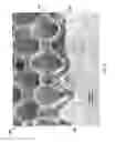 Fig. 05 - Nano-patterned electrolytes in solid oxide fuel cells