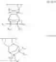 Fig. 65 - Actinic-ray- or radiation-sensitive resin composition and method of forming pattern using the composition