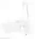 Fig. 01 - Selectively movable foot model with cords