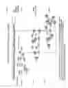 Fig. 16 - Methods for improving fertility and selectivity for desired offspring sex in artificial insemination