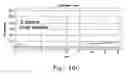 Fig. 19 - Rapid epidemiologic typing of bacteria