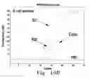 Fig. 26 - Rapid epidemiologic typing of bacteria