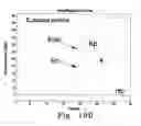 Fig. 28 - Rapid epidemiologic typing of bacteria