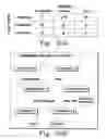 Fig. 29 - Rapid epidemiologic typing of bacteria