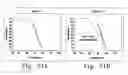 Fig. 30 - Rapid epidemiologic typing of bacteria