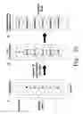 Fig. 31 - Rapid epidemiologic typing of bacteria