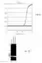 Fig. 04 - Methods for quantification of microRNAs and small interfering RNAs