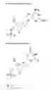 Fig. 17 - Methods for quantification of microRNAs and small interfering RNAs
