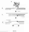 Fig. 45 - Methods for quantification of microRNAs and small interfering RNAs