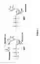 Fig. 02 - 3′-o-fluorescently modified nucleotides and uses thereof
