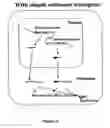 Fig. 04 - Modified gene-silencing nucleic acid molecules and uses thereof