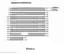 Fig. 06 - Modified gene-silencing nucleic acid molecules and uses thereof