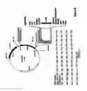 Fig. 09 - Modified gene-silencing nucleic acid molecules and uses thereof