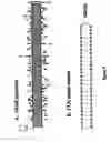 Fig. 10 - Modified gene-silencing nucleic acid molecules and uses thereof
