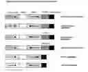 Fig. 19 - Modified gene-silencing nucleic acid molecules and uses thereof