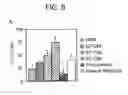 Fig. 11 - Methods for phenotyping of leukemias