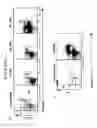 Fig. 12 - Methods for phenotyping of leukemias