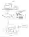 Fig. 13 - Methods for phenotyping of leukemias