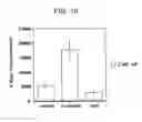Fig. 16 - Methods for phenotyping of leukemias