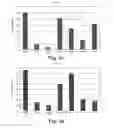 Fig. 05 - Fluorescence standard, and the use thereof