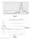 Fig. 15 - Fluorescence standard, and the use thereof
