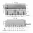 Fig. 20 - METHOD FOR DETECTION AND QUANTIFICATION OF PLK1 EXPRESSION AND ACTIVITY