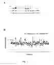 Fig. 02 - METHOD OF ASSESSING MAMMALIAN EMBRYO QUALITY