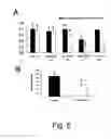 Fig. 06 - METHOD OF ASSESSING MAMMALIAN EMBRYO QUALITY