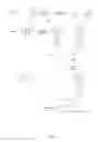 Fig. 02 - Target amplification and sequencing with primers comprising triplex forming monomer units