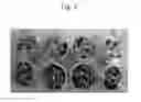 Fig. 05 - METHOD AND AGENT FOR CONTROLLING PLANT DISEASE USING BACTERIA OF GENUS BACILLUS