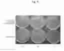 Fig. 11 - METHOD AND AGENT FOR CONTROLLING PLANT DISEASE USING BACTERIA OF GENUS BACILLUS
