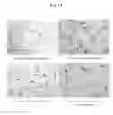 Fig. 16 - METHOD AND AGENT FOR CONTROLLING PLANT DISEASE USING BACTERIA OF GENUS BACILLUS