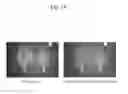 Fig. 20 - METHOD AND AGENT FOR CONTROLLING PLANT DISEASE USING BACTERIA OF GENUS BACILLUS