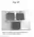 Fig. 22 - METHOD AND AGENT FOR CONTROLLING PLANT DISEASE USING BACTERIA OF GENUS BACILLUS