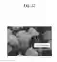 Fig. 24 - METHOD AND AGENT FOR CONTROLLING PLANT DISEASE USING BACTERIA OF GENUS BACILLUS
