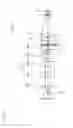 Fig. 07 - Sample preparation apparatus and cell analyzer
