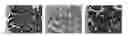 Fig. 01 - NEOPLASM SPECIFIC ANTIBODIES AND USES THEREOF