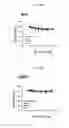 Fig. 09 - MAGNETICALLY-DRIVEN BIODEGRADABLE GENE DELIVERY NANOPARTICLES FORMULATED WITH SURFACE-ATTACHED POLYCATIONIC COMPLEX