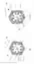 Fig. 07 - TISSUE FIBER SCAFFOLD AND METHOD FOR MAKING
