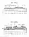 Fig. 40 - Semiconductor integrated circuit device and process for manufacturing the same