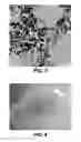 Fig. 03 - MAKING FILMS COMPOSED OF SEMICONDUCTOR NANOCRYSTALS