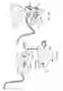 Fig. 56 - Electrical power supplying device having a ring-like subassembly for receiving the power plugs and/or power adapters associated with a plurality of electrical appliances, and managing excess power cord length therewithin in a concealed manner