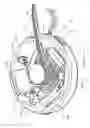 Fig. 37 - Wall-mountable electrical power supplying device having a ring-like structure for receiving the power plugs and/or power adapters associated with a plurality of electrical appliances, and a housing containing and concealing the same during power supply operations