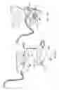 Fig. 56 - Wall-mountable electrical power supplying device having a ring-like structure for receiving the power plugs and/or power adapters associated with a plurality of electrical appliances, and a housing containing and concealing the same during power supply operations