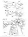Fig. 12 - Reconfigurable toy